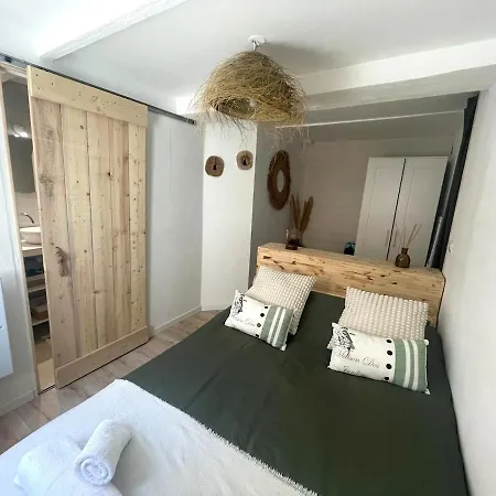 Le Petit Piscénois, Historic Center Apartamento *