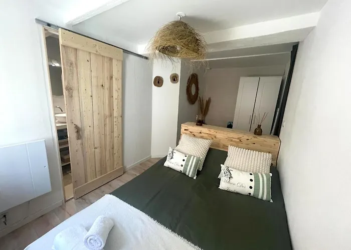 Le Petit Piscénois, Historic Center Apartamento *