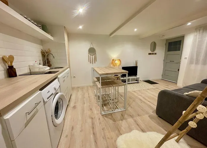 Le Petit Piscénois, Historic Center Apartamento